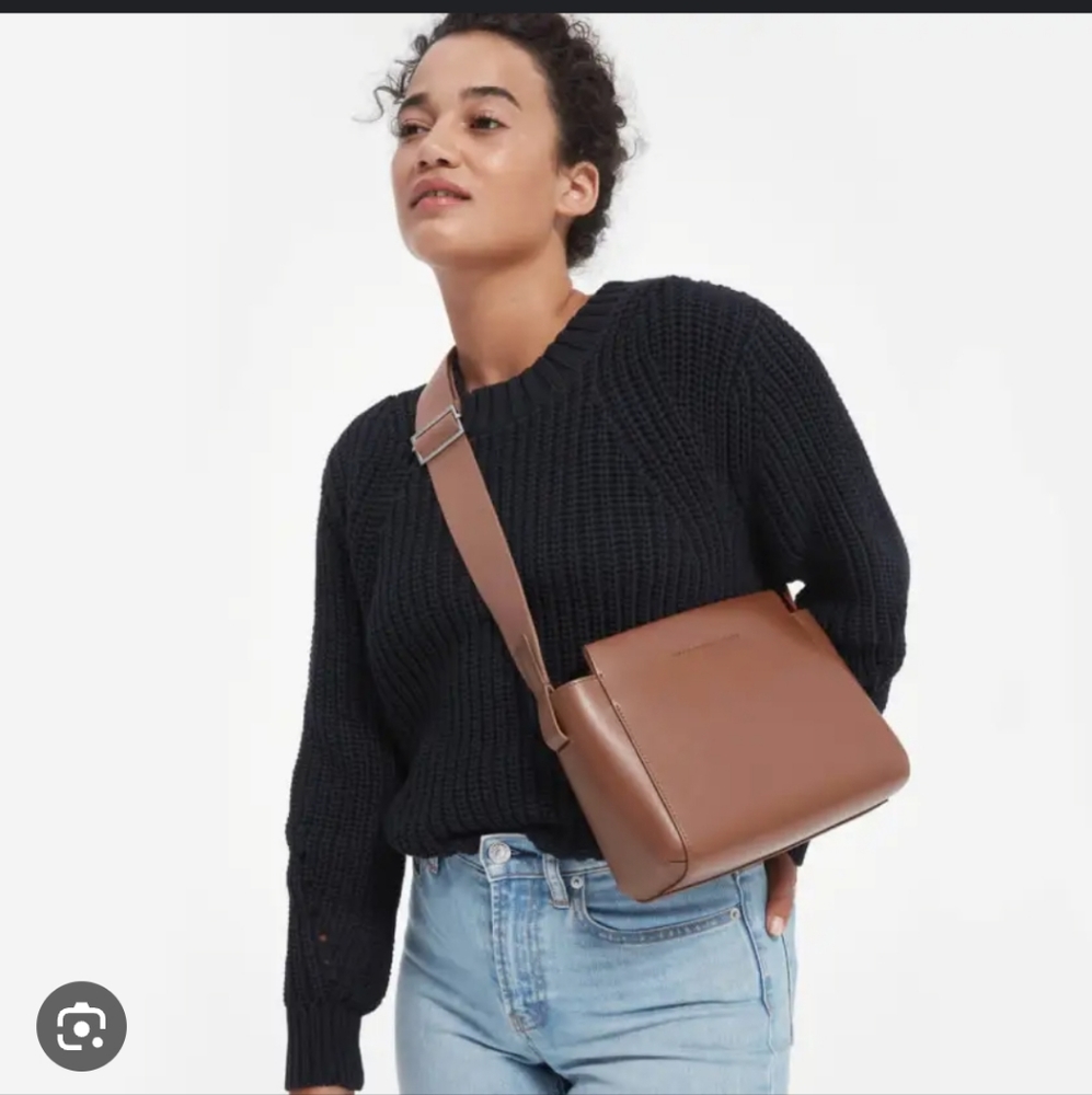 Everlane Mini Form Bag in Cognac Color